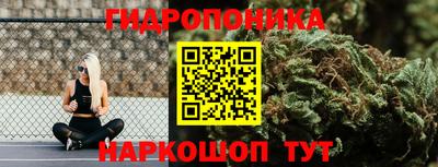 каннабис Новодвинск