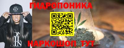 PSILOCYBIN Новозыбков